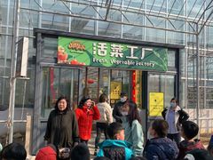 -北戴河集发农业梦想王国