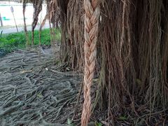 -北海市海滨公园