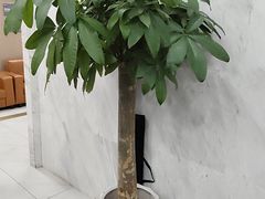 -美年大健康体检(天河东路分院)