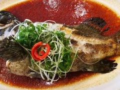 -景月阁空中食府(希尔顿酒店)