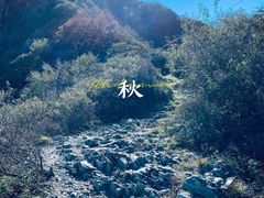 -阳台山自然风景区