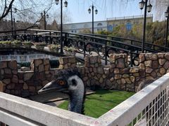 -J Create城市露营咖啡·简餐·宠物(上海动物园店)