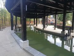 -三江森林温泉度假区