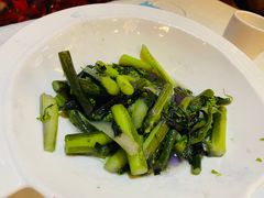 红菜苔-翠清酒家(万丰路店)