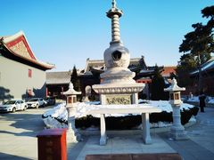 -天津大悲禅院