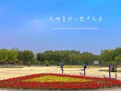 -丁香湖公园