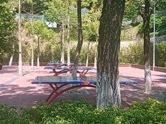 -仙岳公园