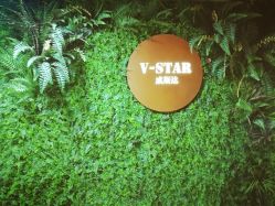-V-STAR威斯达•高级私人定制
