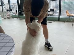 -怪兽屋·羊驼·猫咖·狗咖(俊华广场店)