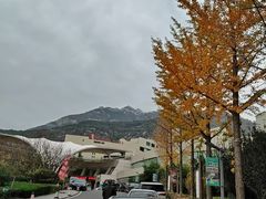 -泰安东尊华美达广场酒店(泰山景区店)