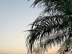 -惠州金海湾嘉华度假酒店