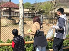 -石家庄市动物园