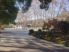 -采石矶景区