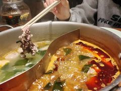 -掂档潮汕牛肉火锅(沈阳万象城店)