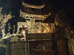 -小玲子(诸葛古镇店)