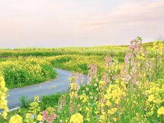 -三圣花乡旅游区