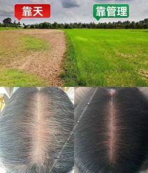 点击看大图 -舒欣头疗·俏丝谧语 白发脱发专业护理
