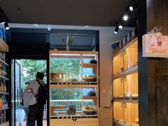 -欣宠猫屋·矮脚拿破仑·蓝金金渐层