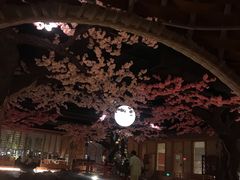 -蓝鲸湾汤泉(包河店)