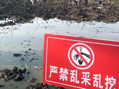 -金银湖国家城市湿地公园