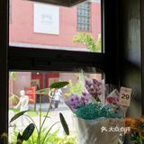 合柴里的新晋咖啡鲜花小店｜DREAMTASHA梦美
