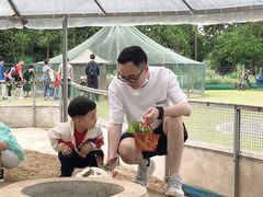 -前小桔亲子创意农场·草莓采摘·露营烧烤