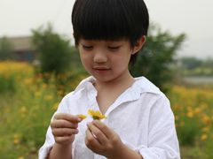 -维也纳国际酒店·深圳北站店