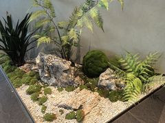 -茶人村·前滩江景雅宴(上海首店)