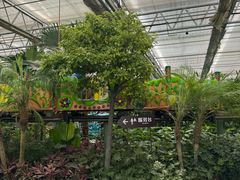 -南宫五洲植物乐园