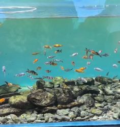 -Zoolung Zoolung动物主题公园(海信广场店)