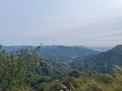 -大岭沟猕猴桃谷风景区