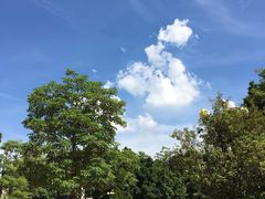 -伦教678文化街