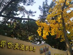 -八大关景区