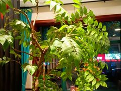 -尚帝·洛阳菜(八號院店)