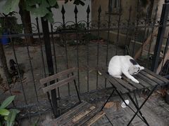 -二楼南书房