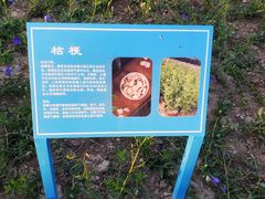 -太阳宫公园