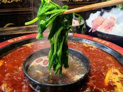 -矮板凳老火锅(宽窄巷子店)