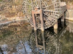 -石老人观光园