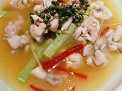 鲜花椒泡菜煮牛蛙-梧桐