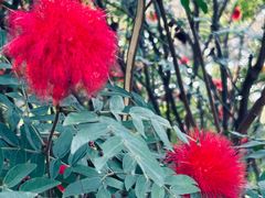 -南宁南湖公园