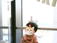 -KIDults童伴儿亲子餐厅(达美中心广场店)