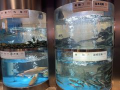 -老船舫·现做活鲜鱼馆(东郊记忆店)