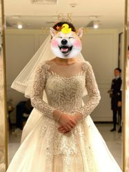 点击看大图 -GRACE KELLY婚纱与礼服(北京店)