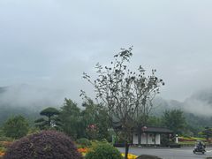 -千岛湖石林