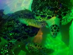 -华夏文旅西安度假区