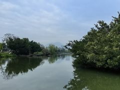 -三垟湿地