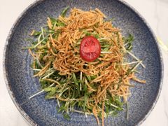 -打酱油·非遗淮扬菜(瘦西湖梅岭老店)