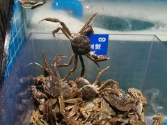 -曼格活海鲜·牛排自助(光明蓝鲸店)