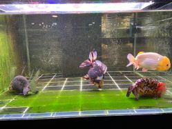 -青木造型HAIR·あおき髪を刈る潮人店