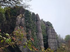 -山王坪喀斯特国家生态公园